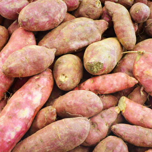 PATATE DOUCE BIO